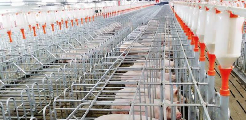 豬場(chǎng)溫濕度環(huán)境監(jiān)測(cè)系統(tǒng)