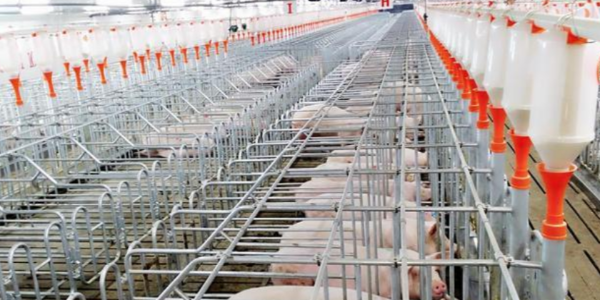 環(huán)境監(jiān)控