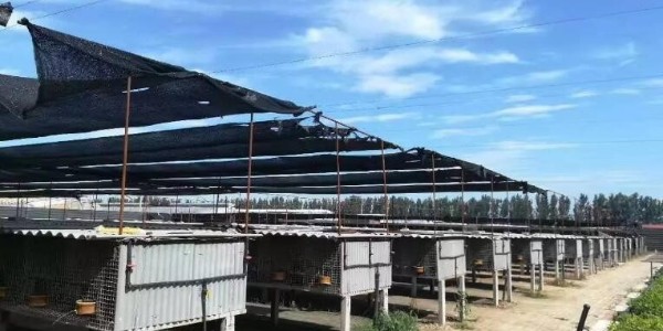 養(yǎng)殖場(chǎng)斷電報(bào)警系統(tǒng)，穩(wěn)定安全運(yùn)行